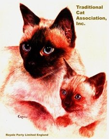 A vintage-style illustration of two siamese cats, one adult and one kitten, with piercing blue eyes. text above reads "traditional cat association, inc." and is branded by royale party limited england.
